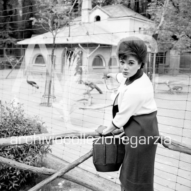 connie francis b 5896 002